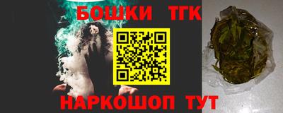 шишки Тара