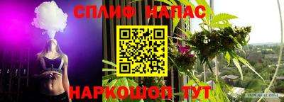 шишки Тара