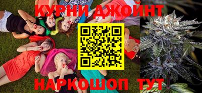 шишки Тара