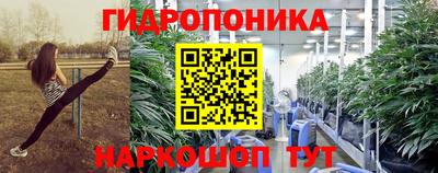 шишки Тара