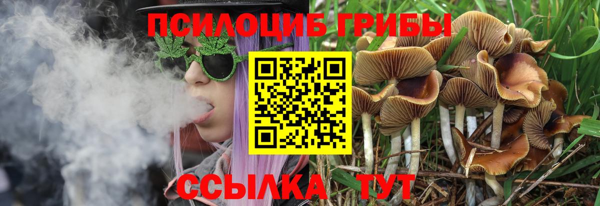 Псилоцибиновые грибы Psilocybe  Галлюциногенные грибы GOLDEN TEACHER  где купить наркоту  Вход с VPN  Волжск 